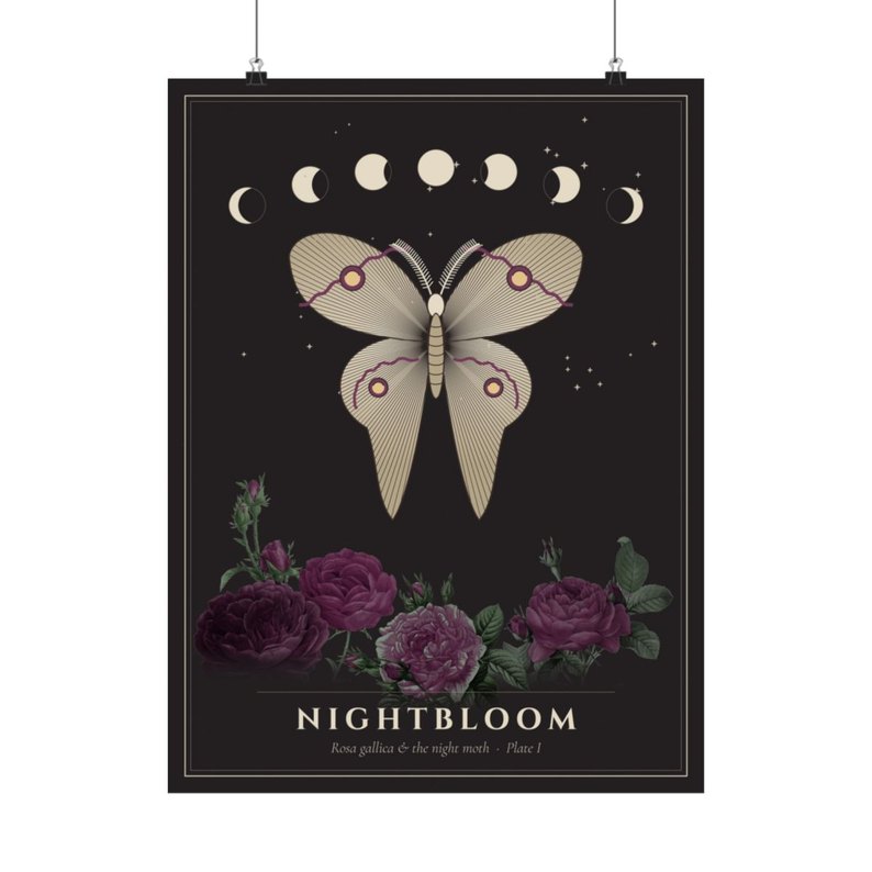 Nightbloom Moth & Rose Print: Matte archival poster, Plate I